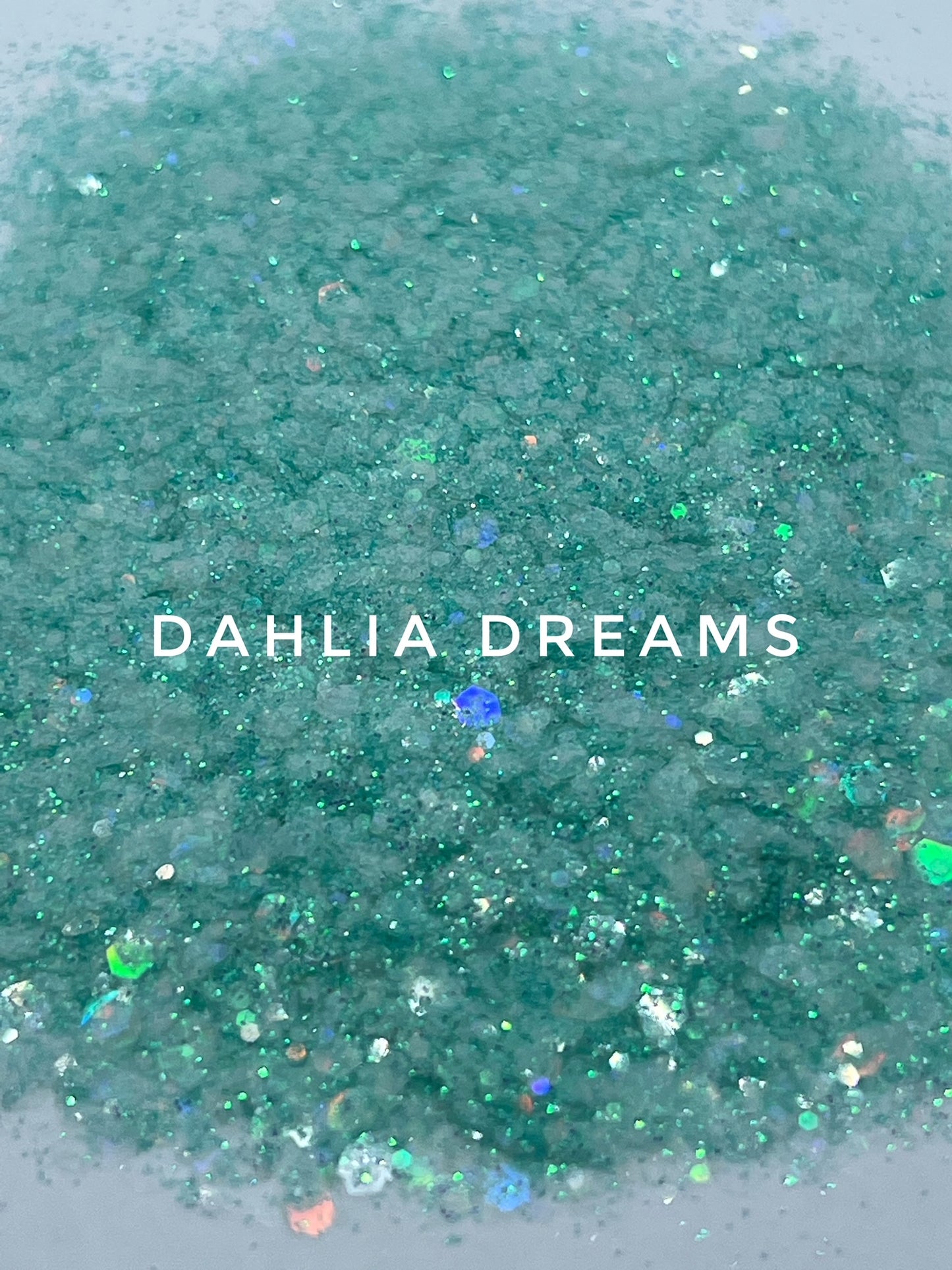 Dahlia Dreams