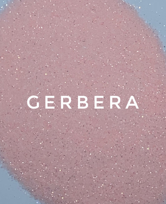 Gerbera