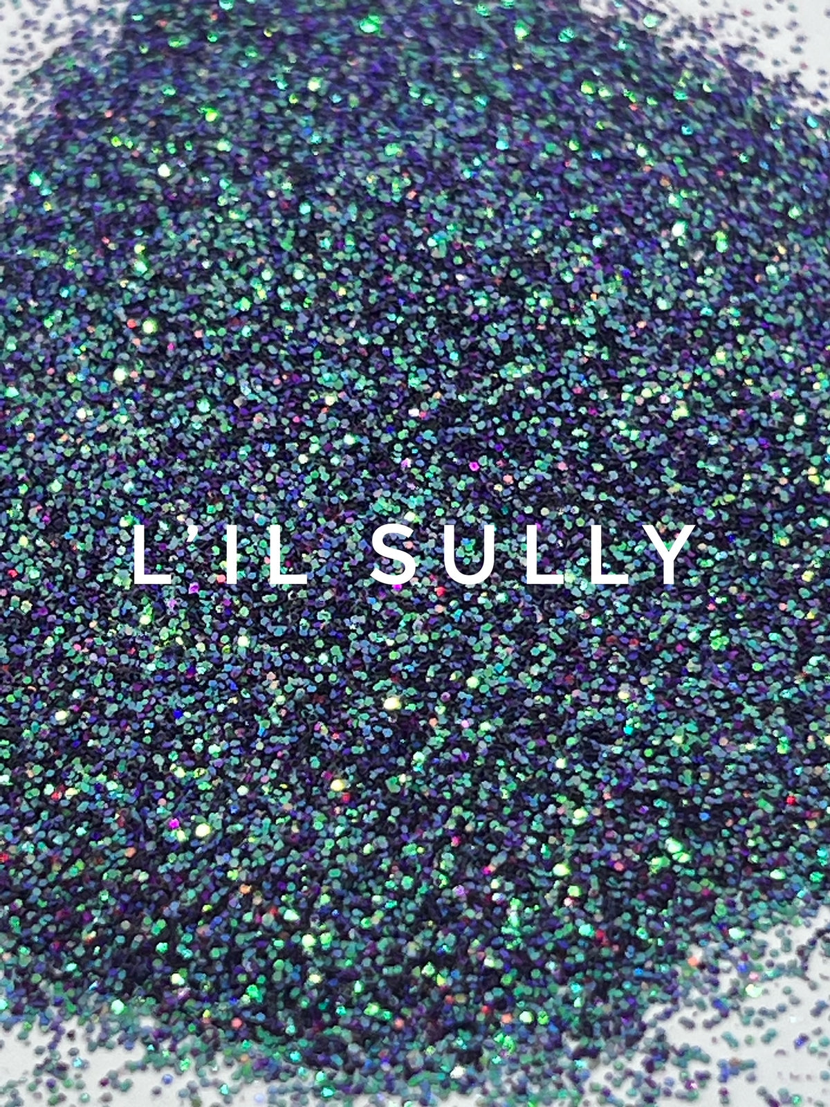 L&#39;il Sully