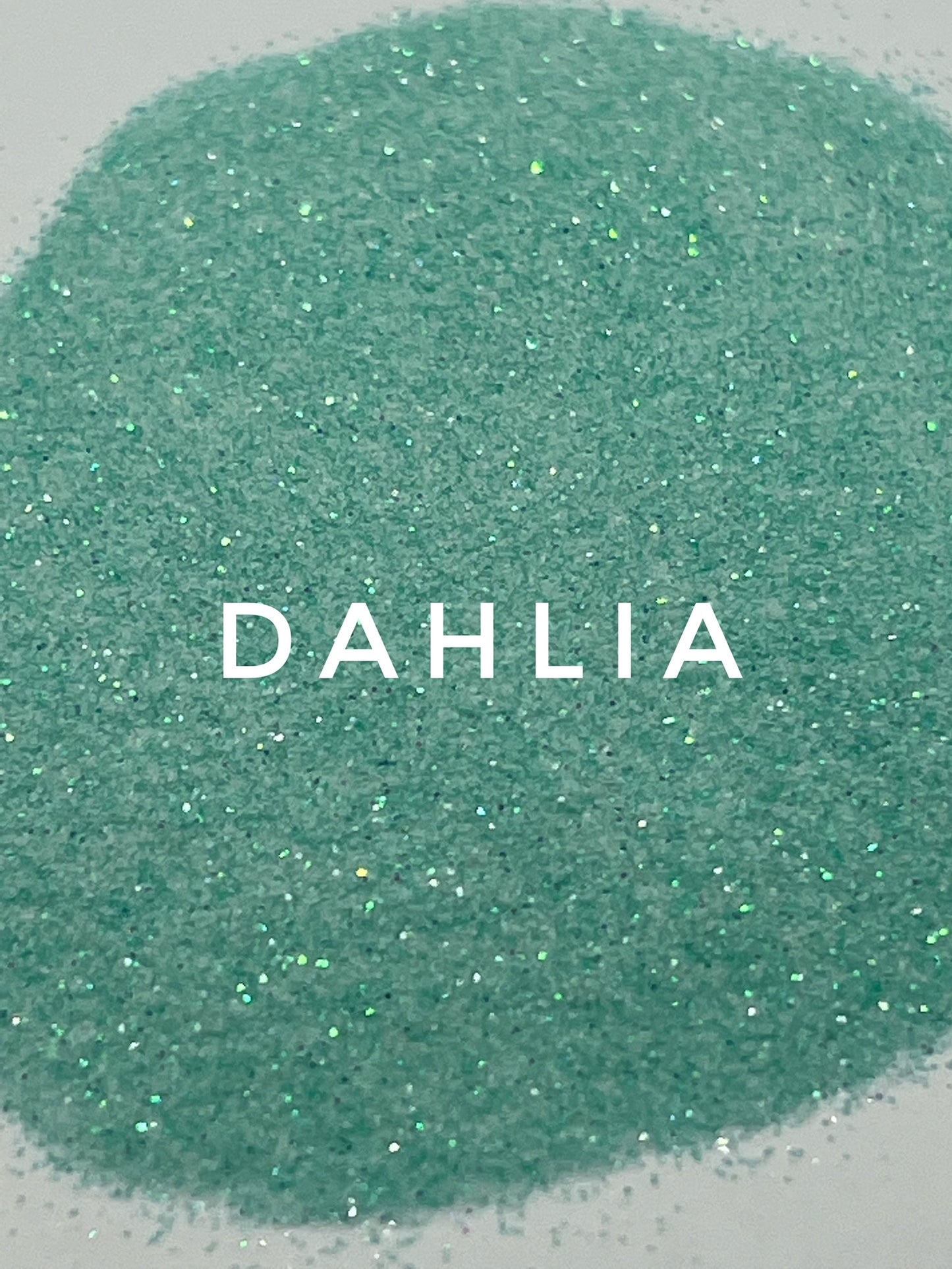 Dahlia