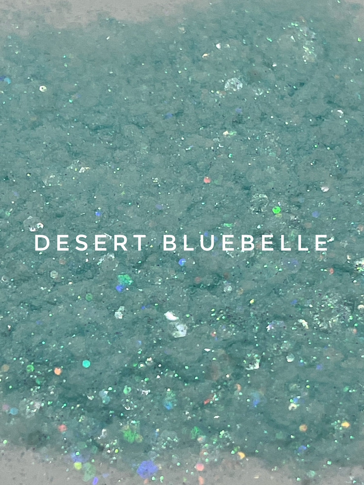 Desert Bluebelle
