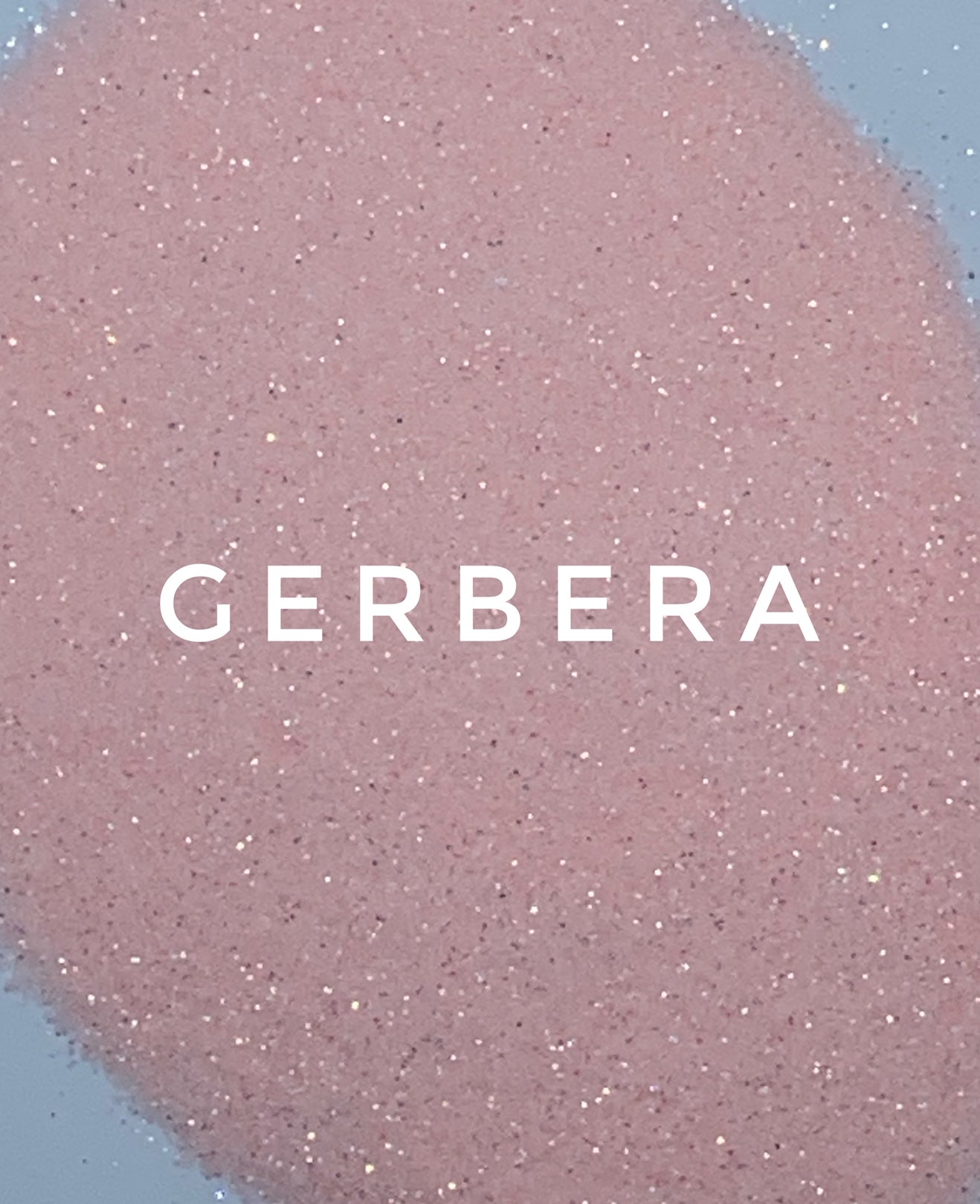 Gerbera