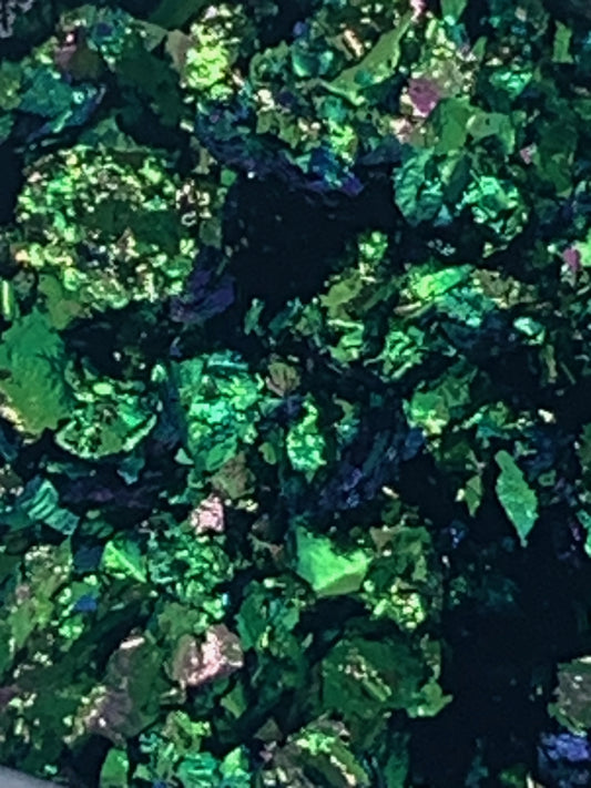 Super Chameleon Flakes - King Tut