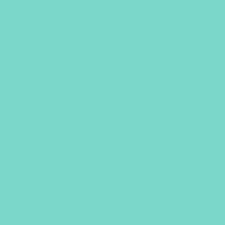 Mint - Oracal 651 Vinyl