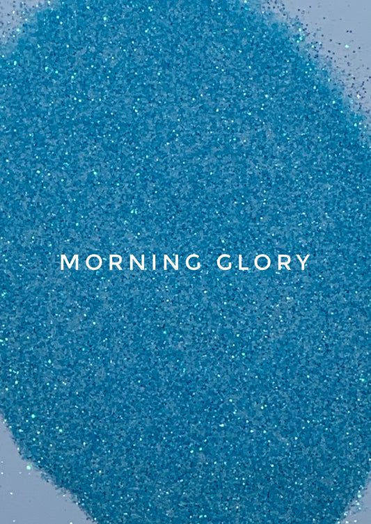 Morning Glory