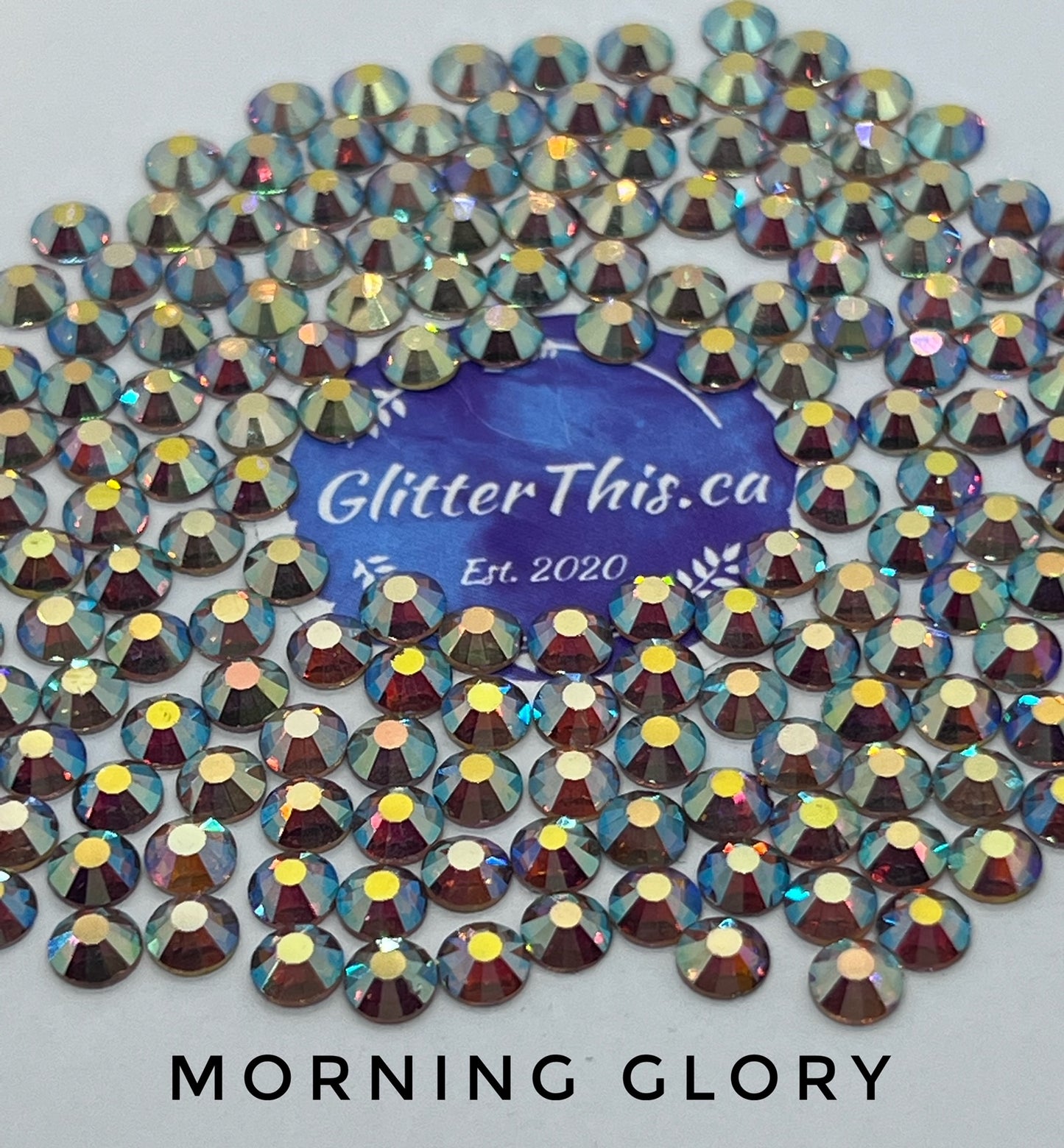 Morning Glory
