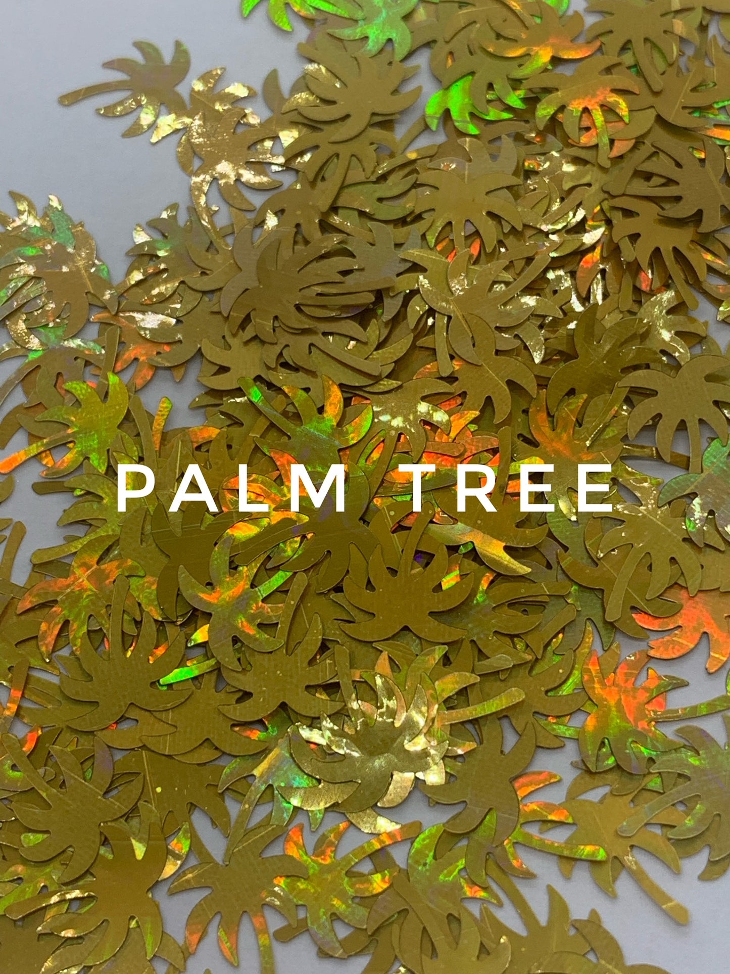 Palm Tree