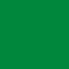 Yellow Green - Oracal 651 Vinyl